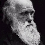 darwin